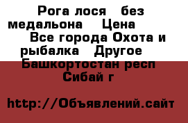 Рога лося , без медальона. › Цена ­ 15 000 - Все города Охота и рыбалка » Другое   . Башкортостан респ.,Сибай г.